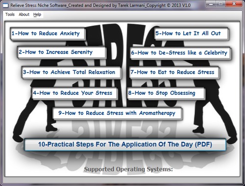 Product picture How To Relieve Stress Niche Software